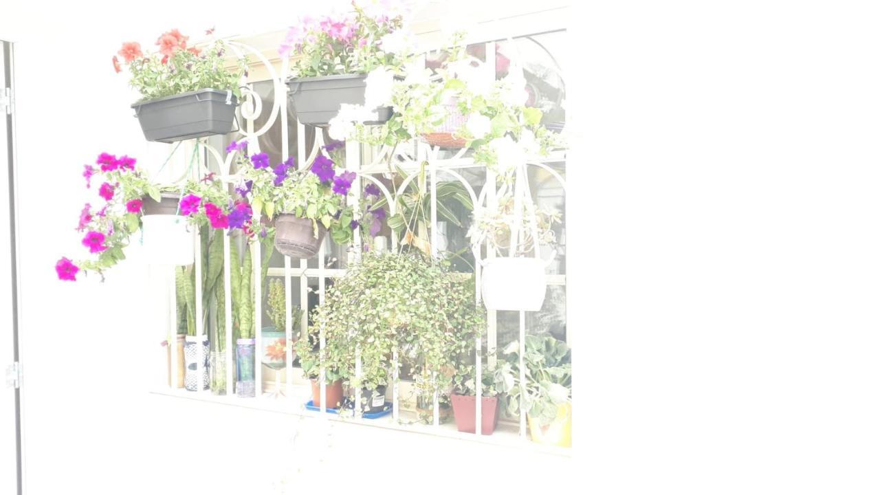 Marina Villa Poolアルブフェイラ エクステリア 写真
